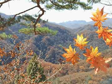 生肖已解“柳暗花明又一村”解意思最佳精选